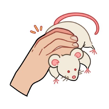 AnimMouse
