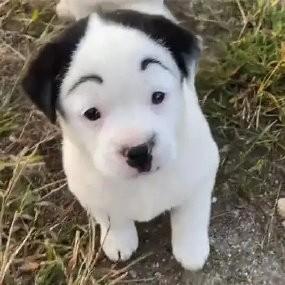 BookerLiu