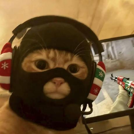 BurgerK1ng16