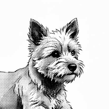 Duelion