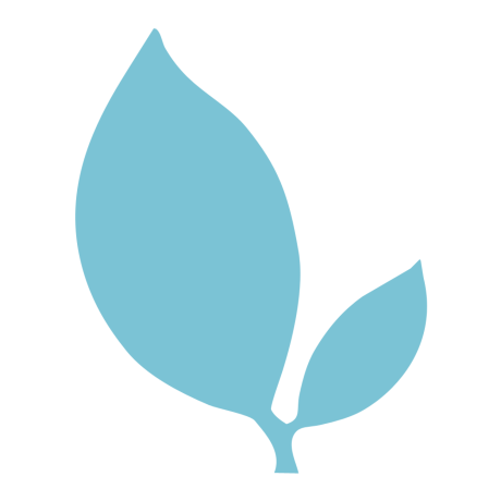 IdeasOnCanvas