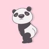 ItsCEED