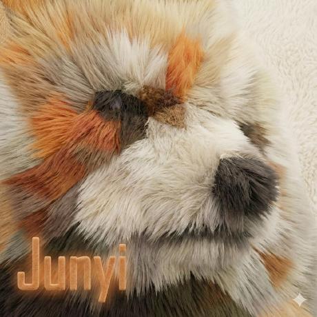 Junyi-99