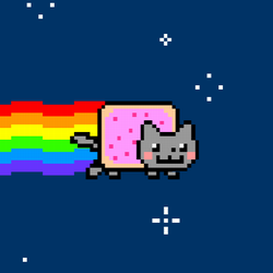NYAN-x-CAT