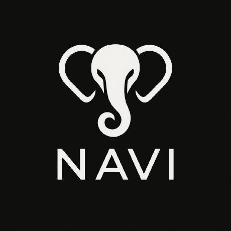 Project-Navi