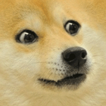 QingGo