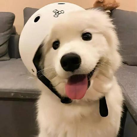 ZhangJinHaHaHa