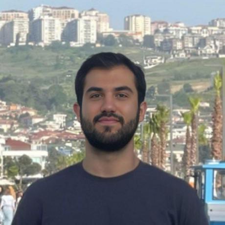 alimohammadiamirhossein