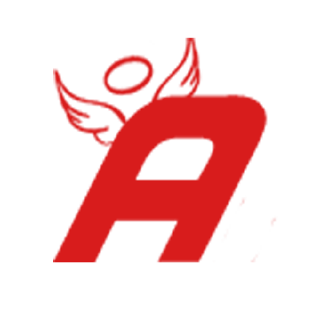 angel-dart