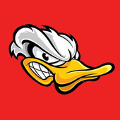 angryducks