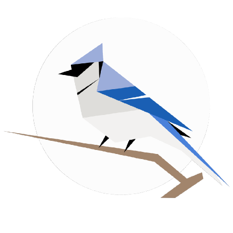 birdnet-team