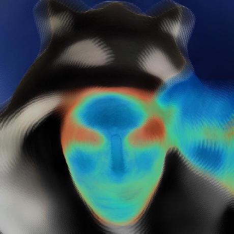 bitquark