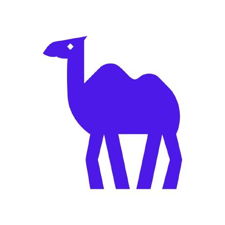 camel-ai