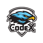 codex-team