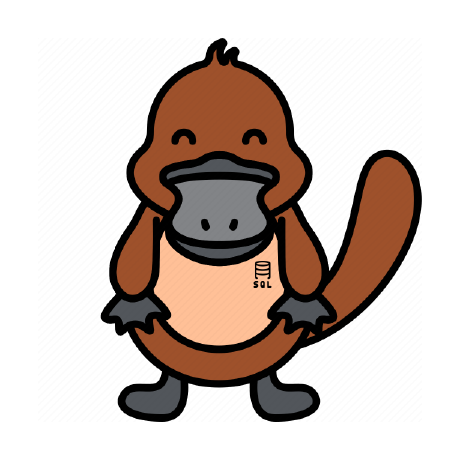 dataplat