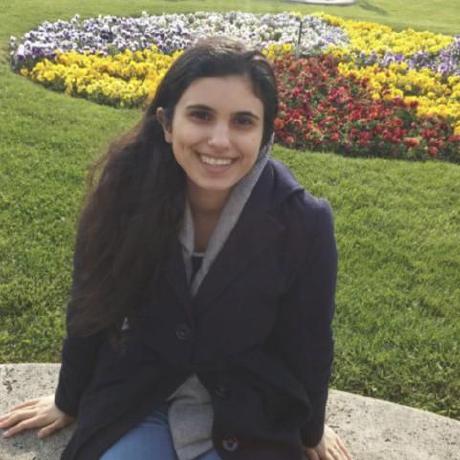 hila-chefer