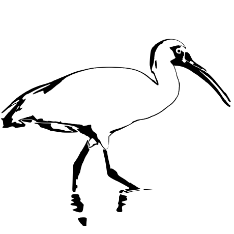 ibis-project