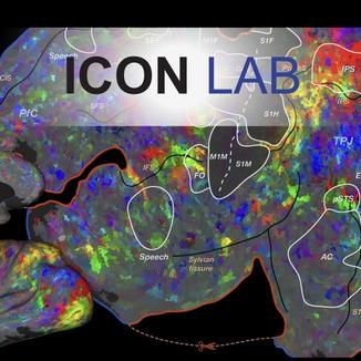 icon-lab