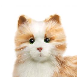 innovation-cat