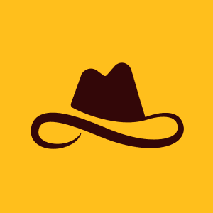 lasso-security