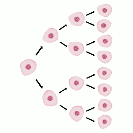 mitogen-hq