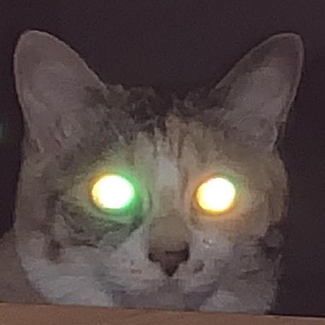 mosuka