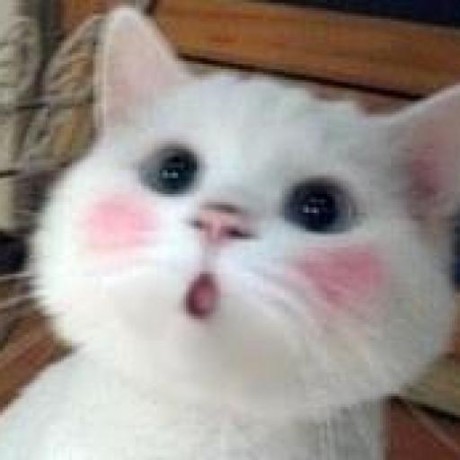 nonoroazoro
