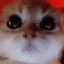 notscuffed
