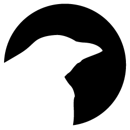 ravynsoft
