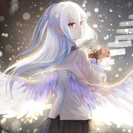 sakuranew
