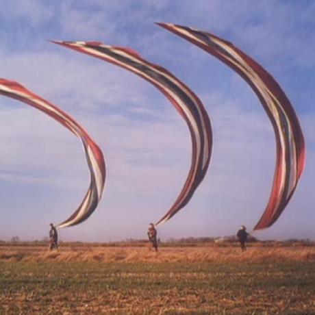 serhaturtis