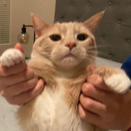 tanbryan