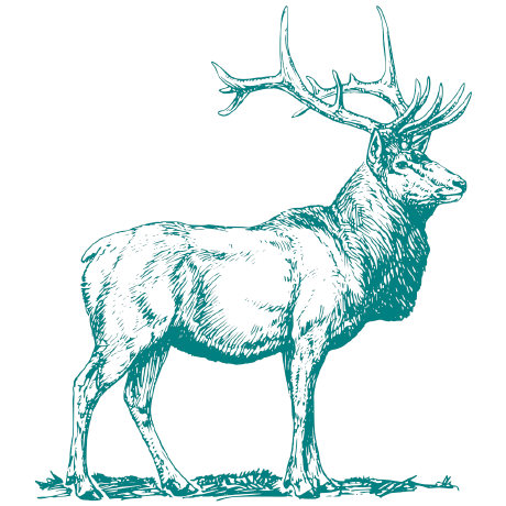 tealdeer-rs