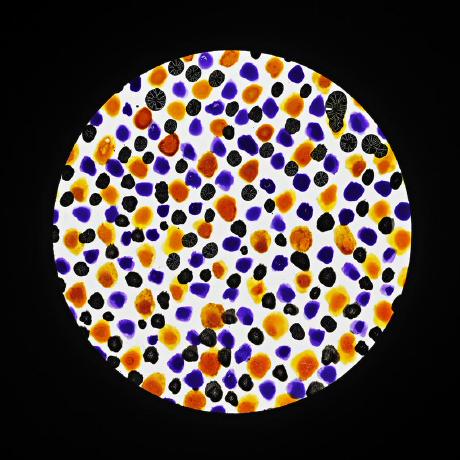 termcolor