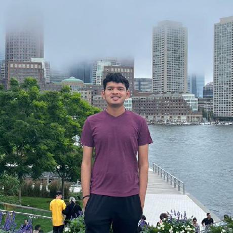 vivek9patel
