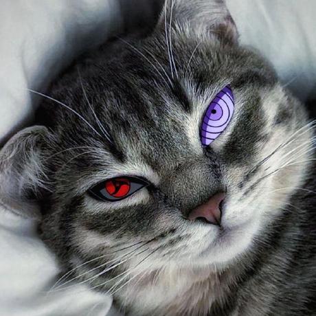 xandemon