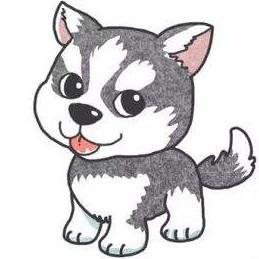 xiaweizi