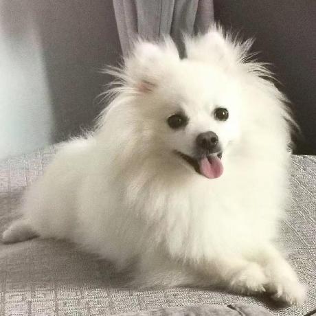 xieyuquanxx